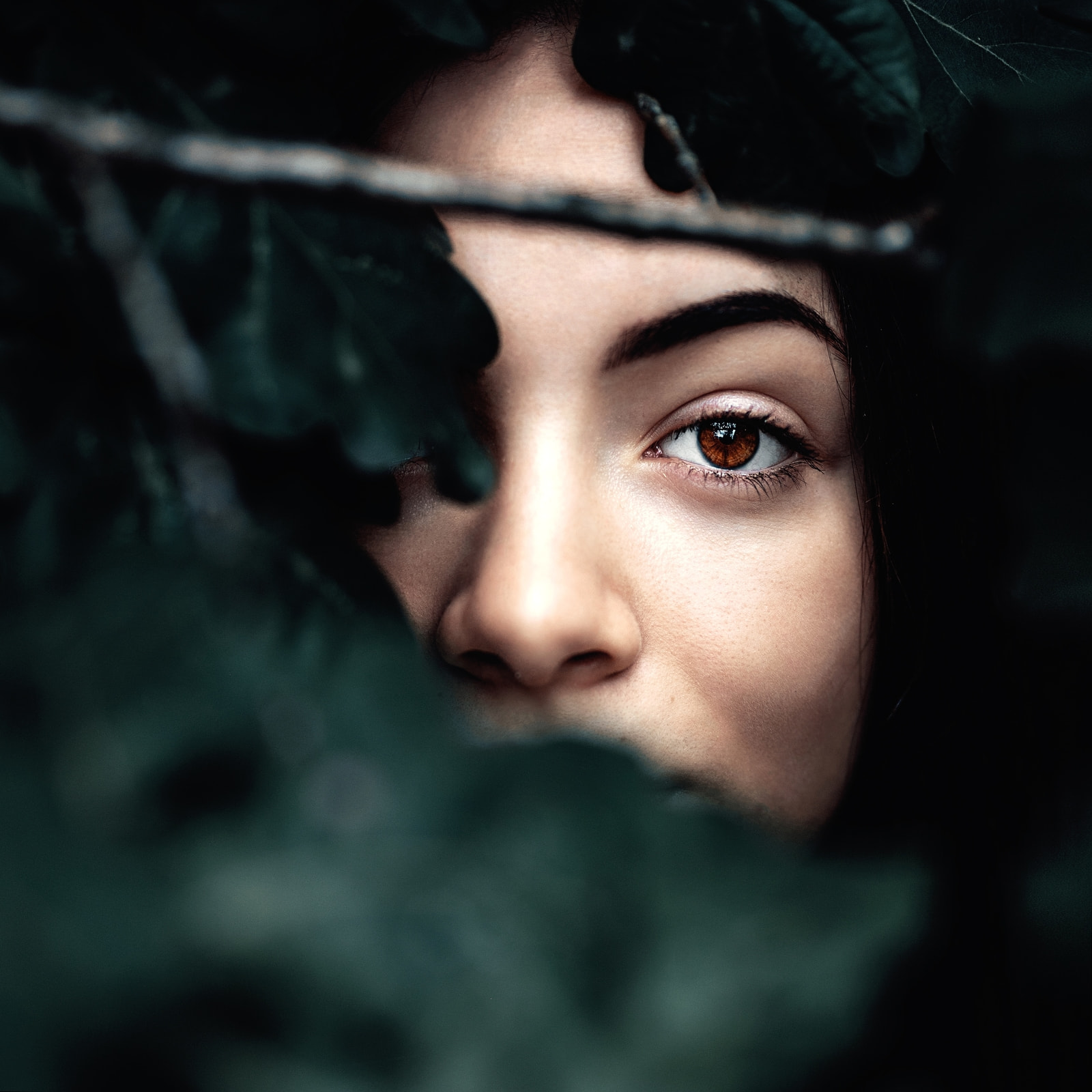Portrait // Editorial