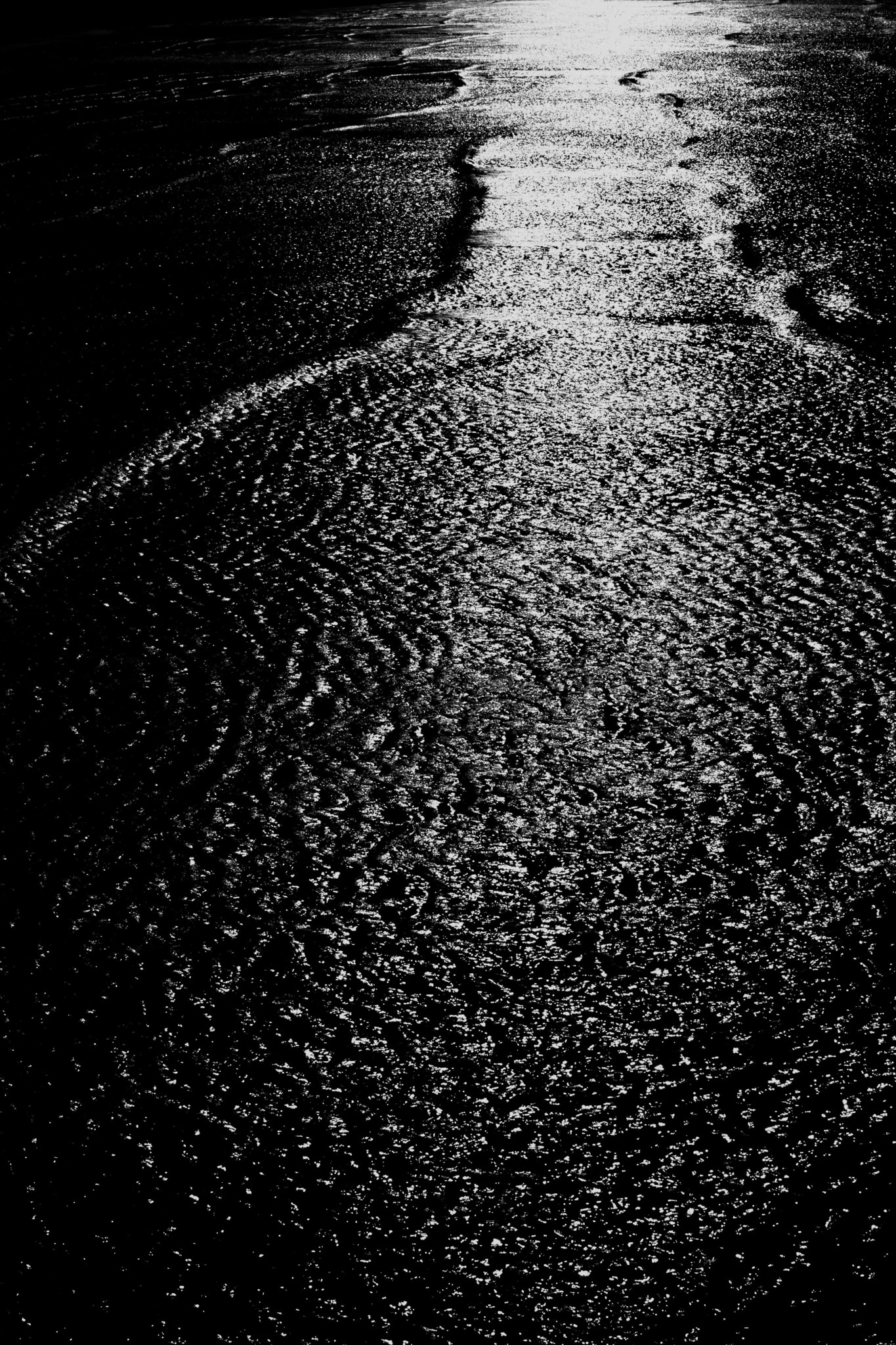 Street // Documentary